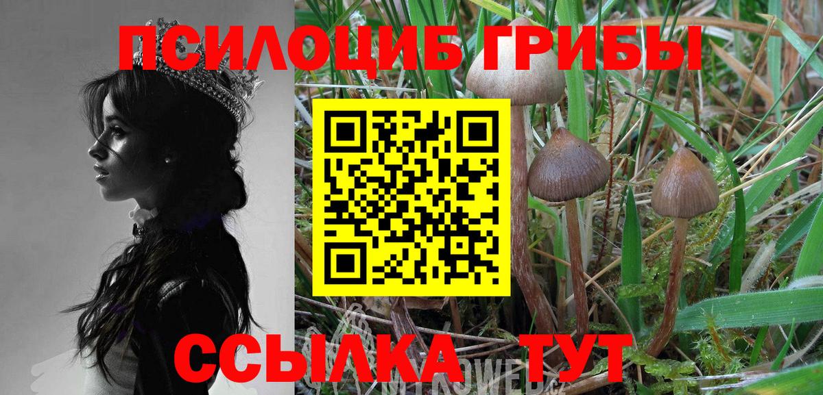 Лобня  Псилоцибиновые грибы мухоморы  Вход с VPN 